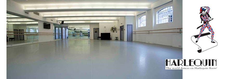 Harlequin STUDIO